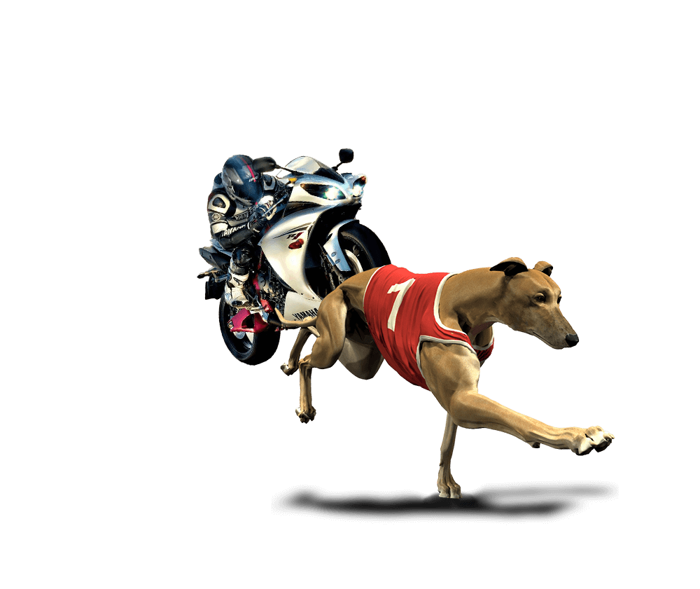 Wbet Official | Wbet online Sportsbook Sports Betting Software Platform ...